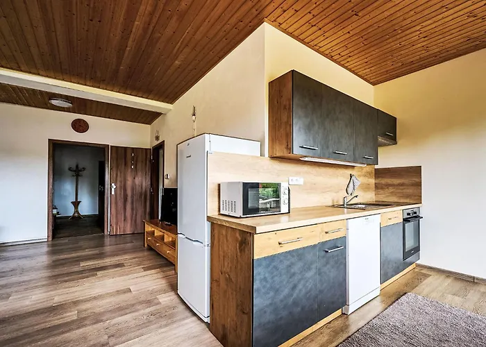Pod Cernou Studnici-2 By Interhome * Nova Ves nad Nisou